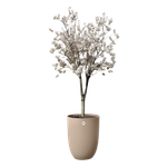 sereh hoch 40cm kühler Ton